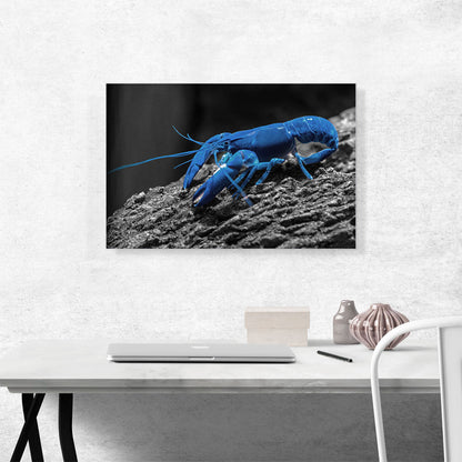 Navy Blue Lobster In The Ocean