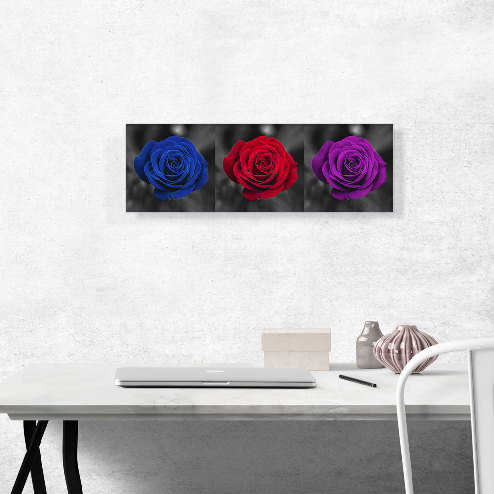 Navy Blue Red Purple Rose Flower