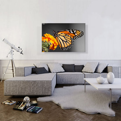 Orange Butterfly On Orange Flower