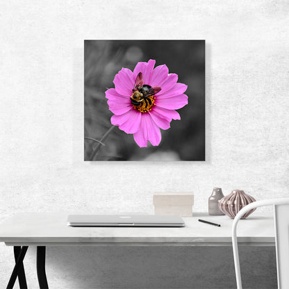Bee On Pink Flower