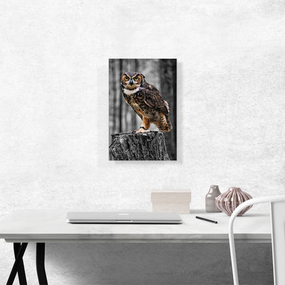Owl On A Log In Forest