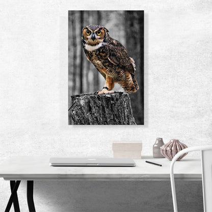 Owl On A Log In Forest