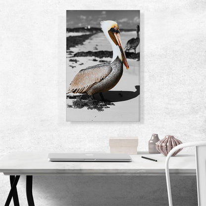 Pelican On The Sea Beach