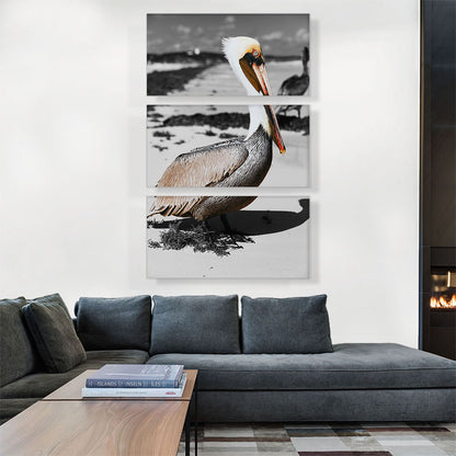 Pelican On The Sea Beach