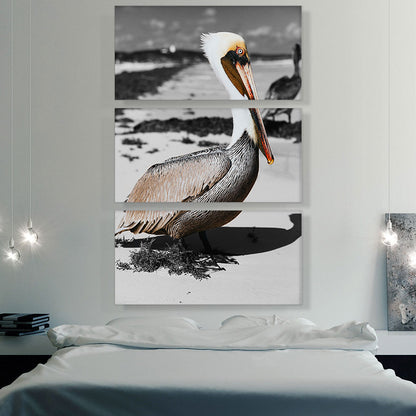 Pelican On The Sea Beach