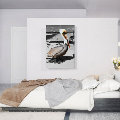 Pelican On The Sea Beach