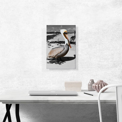 Pelican On The Sea Beach