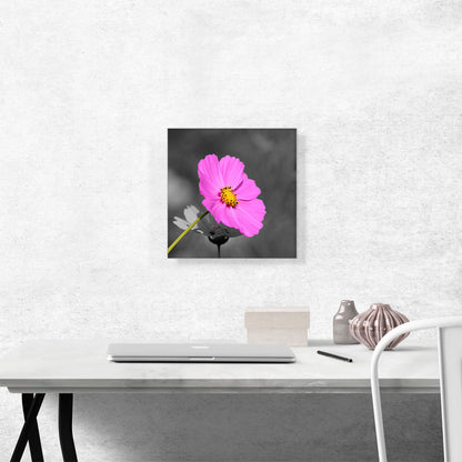 Pink Flower In Forest