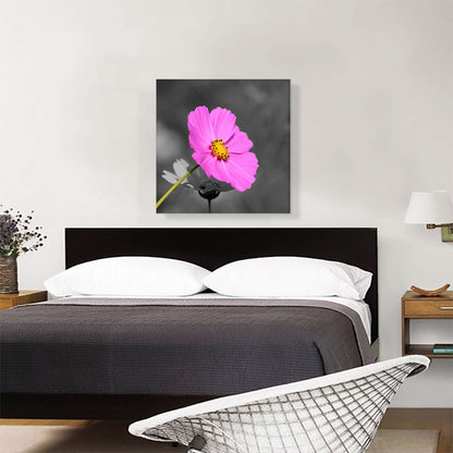 Pink Flower In Forest