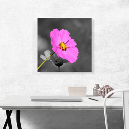 Pink Flower In Forest