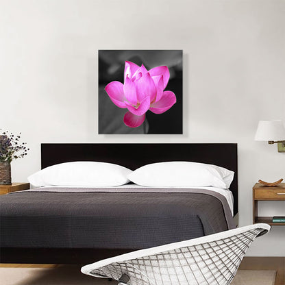 Pink Lotus Flower In Lake