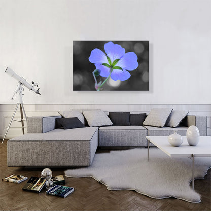 Purple Flower In Garden