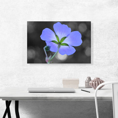 Purple Flower In Garden