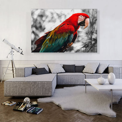 Red And Green Ara Parrot