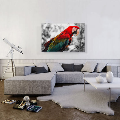 Red And Green Ara Parrot