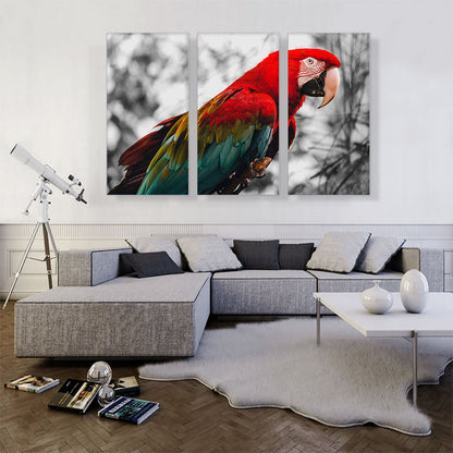 Red And Green Ara Parrot