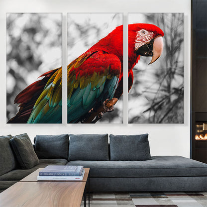 Red And Green Ara Parrot