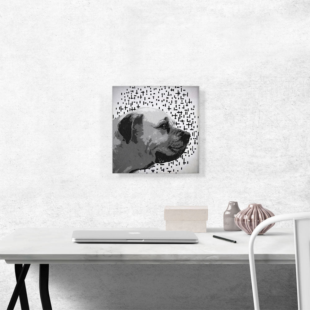 English Mastiff Dog Breed Gray Black
