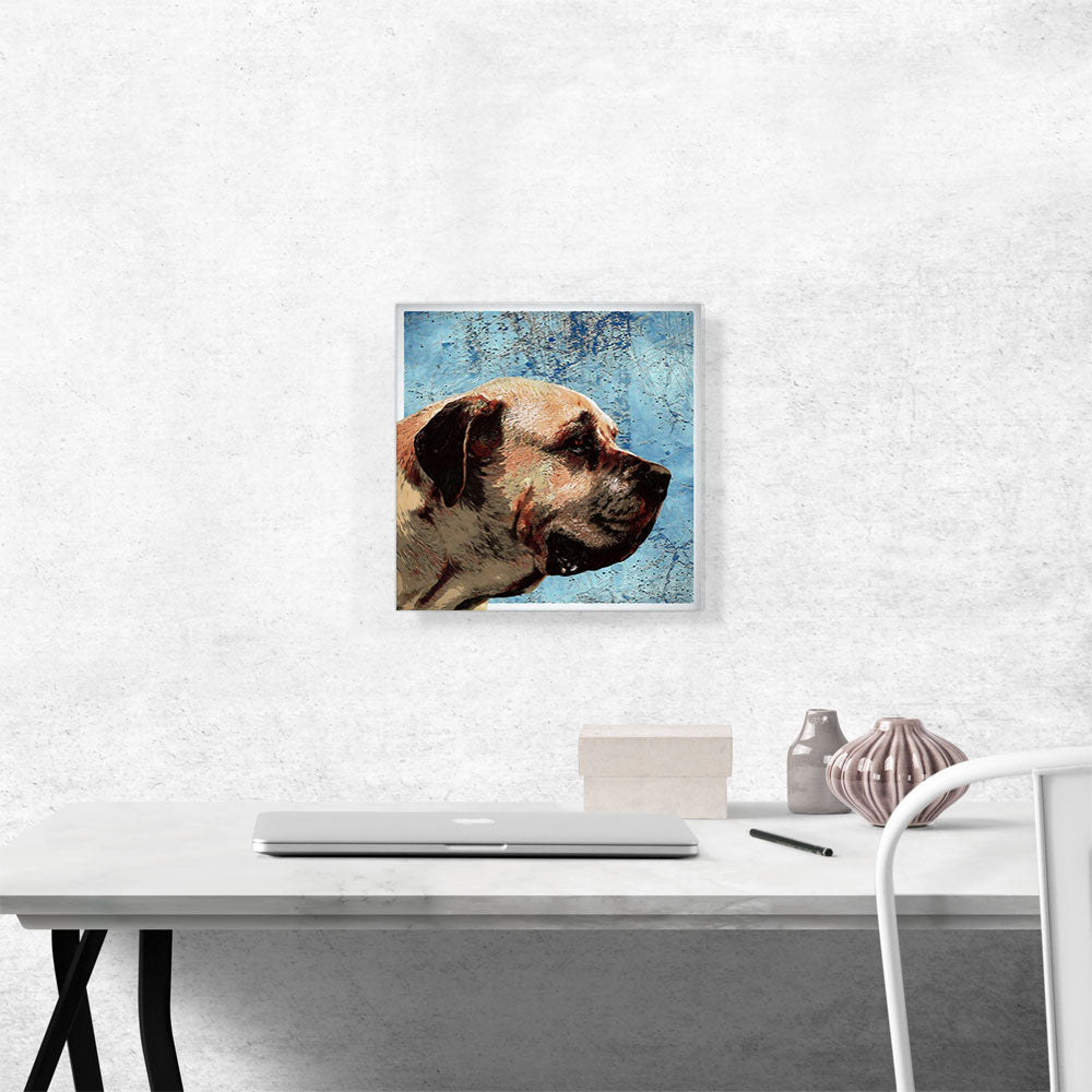 English Mastiff Dog Breed