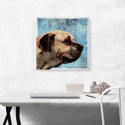 English Mastiff Dog Breed