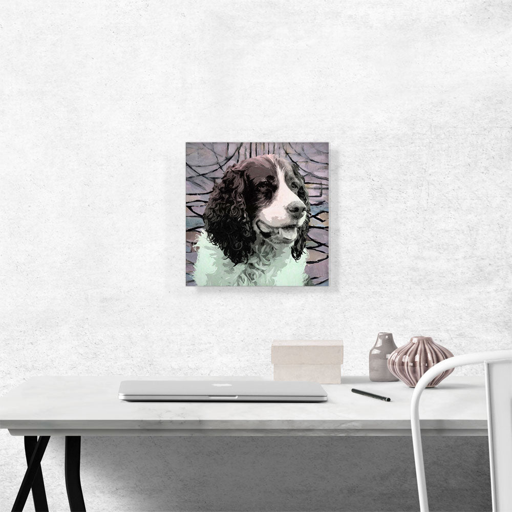 English Springer Spaniel Dog Breed
