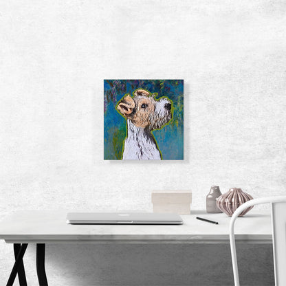 Fox Terrier Dog Breed Blue Green