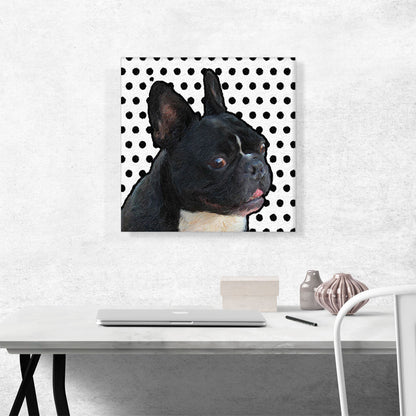 French Bulldog Dog Breed Black White Polka Dots