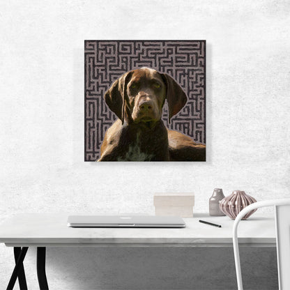German Shorthaired Pointer Dog Breed Brown Pattern