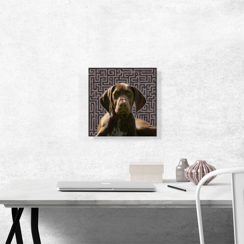 German Shorthaired Pointer Dog Breed Brown Pattern