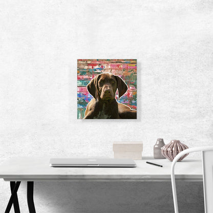 German Shorthaired Pointer Dog Breed Colorful Graffiti