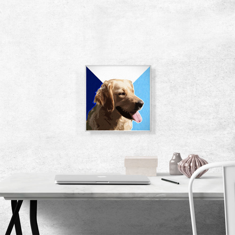 Golden Retriever Dog Breed Blue White