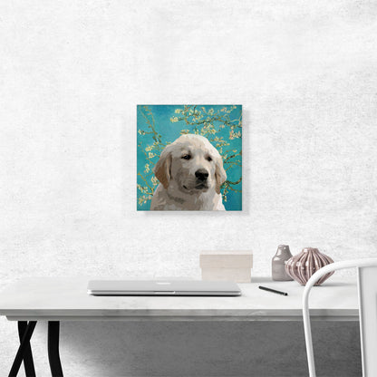 Golden Retriever Dog Breed Puppy