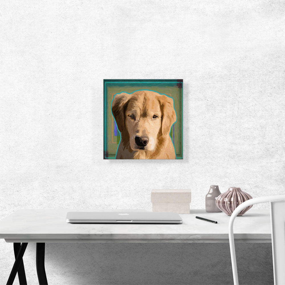 Golden Retriever Dog Breed Teal