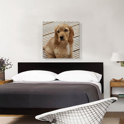 American Cocker Spaniel Dog Breed Lines