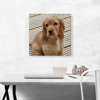 American Cocker Spaniel Dog Breed Lines