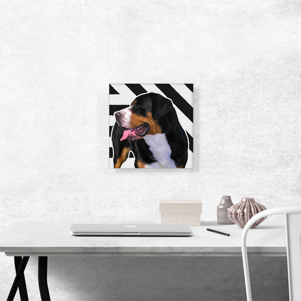 Greater Swiss Mountain Dog Breed