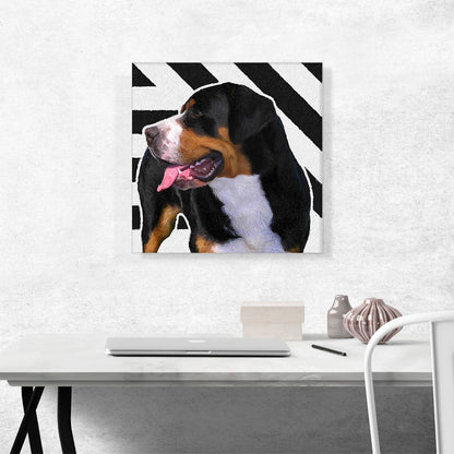 Greater Swiss Mountain Dog Breed