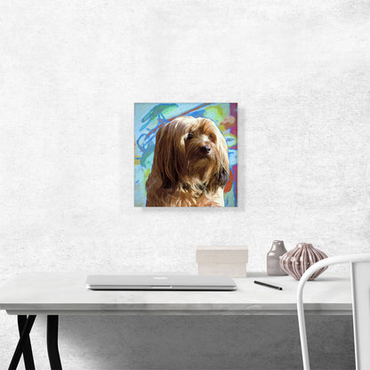 Havanese Dog Breed Colorful Abstract