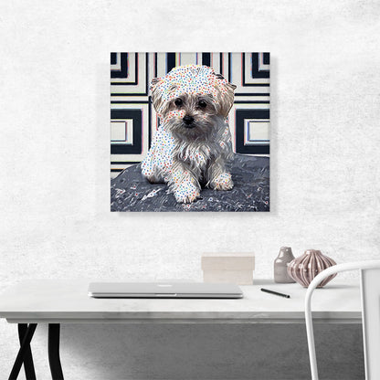 Havanese Dog Breed Polka Dots Puppy