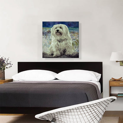 Havanese Dog Breed