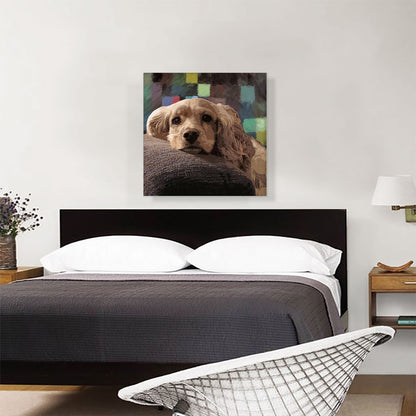 American Cocker Spaniel Dog Breed Squares