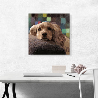 American Cocker Spaniel Dog Breed Squares