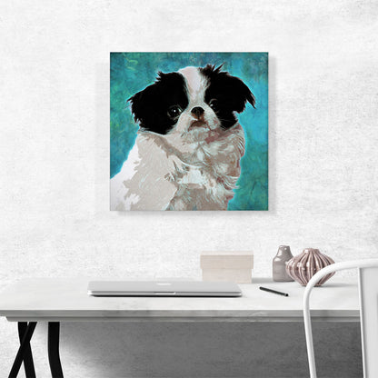 Japanese Chin Dog Breed
