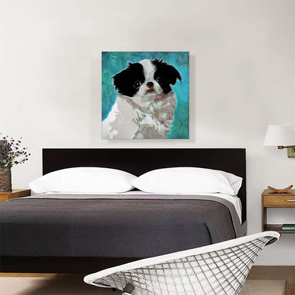 Japanese Chin Dog Breed