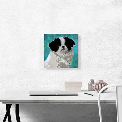 Japanese Chin Dog Breed