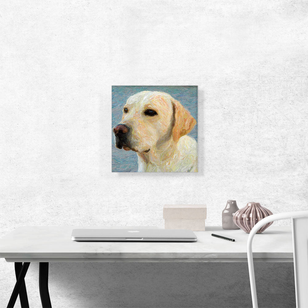 Labrador Retriever Dog Breed Yellow Lab