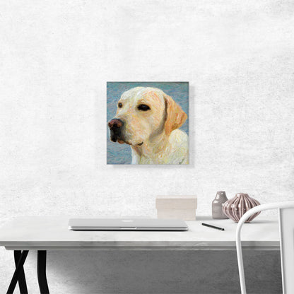 Labrador Retriever Dog Breed Yellow Lab