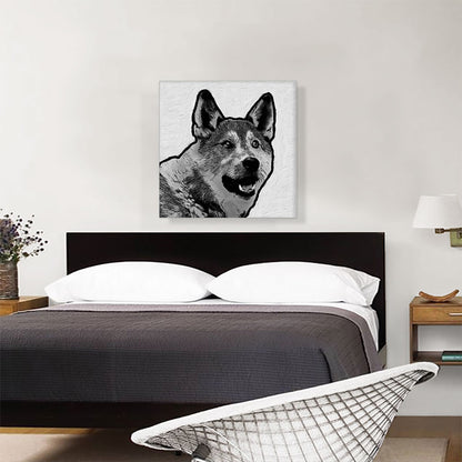 Laika Dog Breed