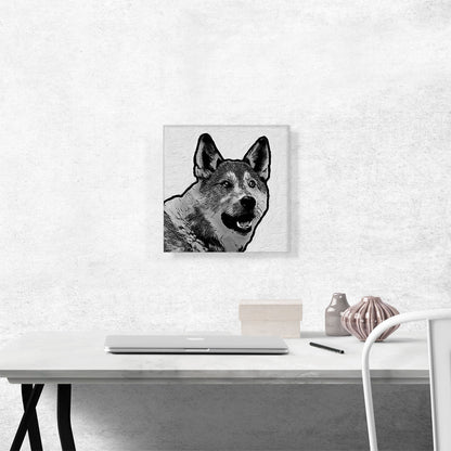 Laika Dog Breed