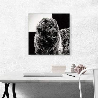 Leonberger Dog Breed